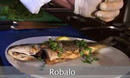 Robalo fish